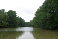 Hill Country View