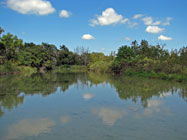 Hill Country View