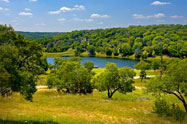 Hill Country View