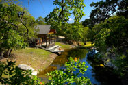 Hill Country View