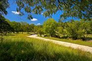 Hill Country View